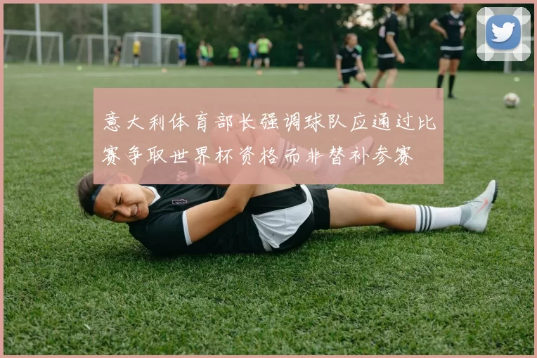 意大利体育部长强调球队应通过比赛争取世界杯资格而非替补参赛